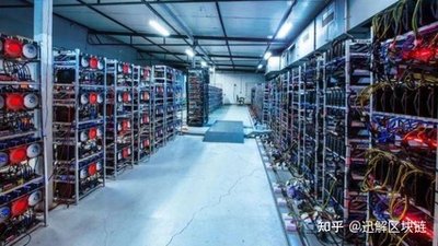 Professionally managed mining farm showcasing rows of efficient miners including Whatsminer series