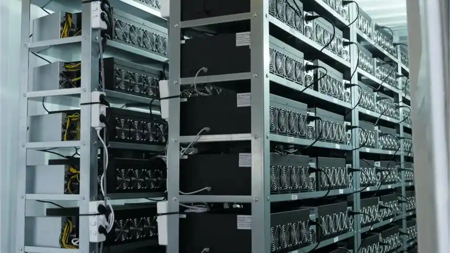 A large-scale mining farm with rows of mining rigs